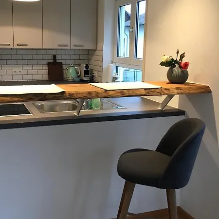 Апартаменты Freiburg-design-apartment 4 *